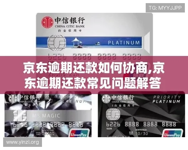 壹号玩家app下载安装常见问题及解决方案，确保顺利使用